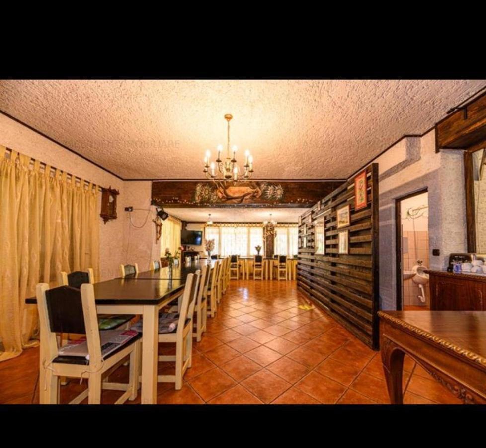 Vila Colt De Rai Rasnov Exterior foto